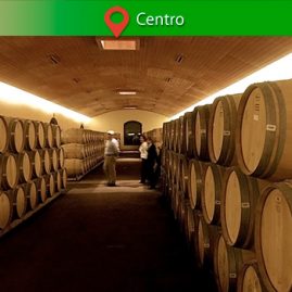 Viña Concha y Toro