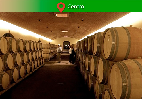 Viña Concha y Toro
